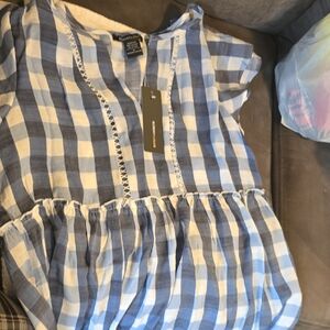 Robert Louis Blue and White Plaid Top